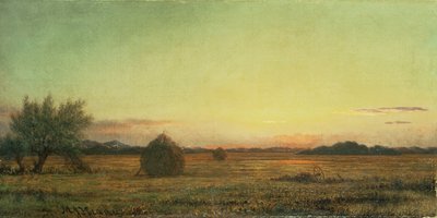 Jersey-Wiesen von Martin Johnson Heade