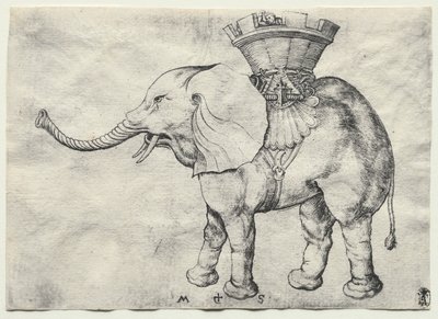 Ein Elefant mit Howdah von Martin Schongauer