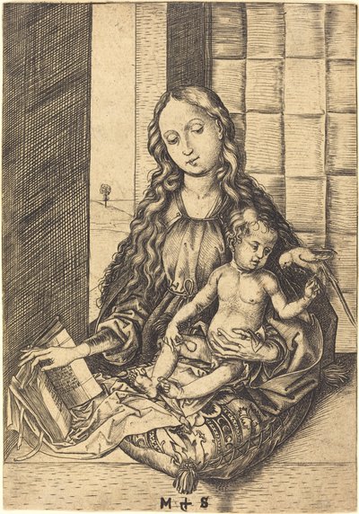 Madonna mit einem Papagei von Martin Schongauer