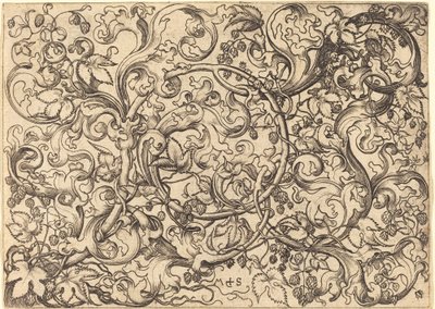 Ornament mit Hopfenranke von Martin Schongauer