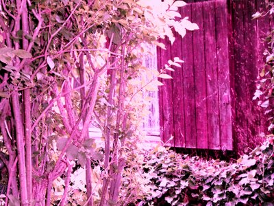 Am Gartenhaus von Martina Konitzky