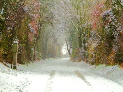 Feldweg von Martina Konitzky