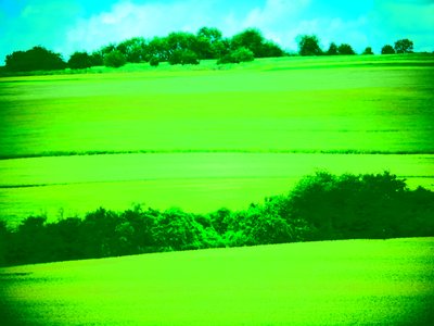 Landschaft Grün von Martina Konitzky