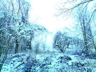 Winter Blau von Martina Konitzky