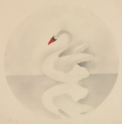 Schwan von Mary Altha Nims
