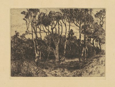 Einsamkeit von Mary Nimmo Moran