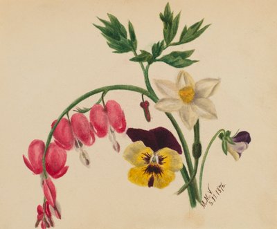 Ohne Titel - Gemischte Blumen, 1876 von Mary Vaux Walcott