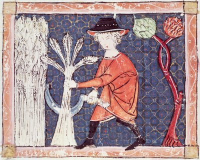 Fol.58v Juli: Die Ernte von Matfre Ermengaut