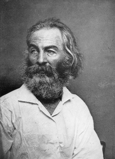 Walt Whitman 1819-1892, amerikanischer Dichter, ca. 1880er von Mathew Brady