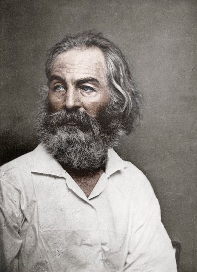 Walt Whitman, amerikanischer Dichter, um 1880er von Mathew B. Brady