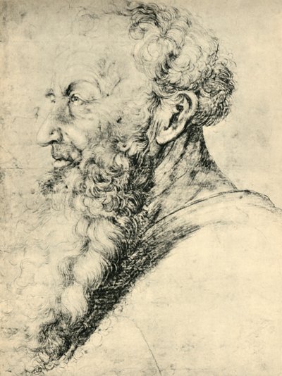 Porträt von Guido Guersi, 1513-1515, 1943 von Matthias Gruenewald