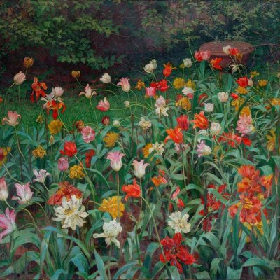 Tulpen von Maximilian Lenz