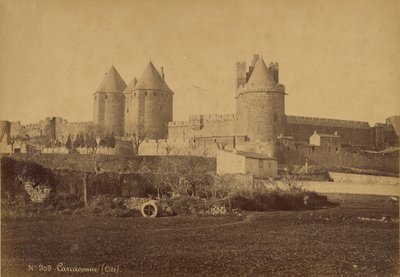 Carcassonne von Mederic Mieusement