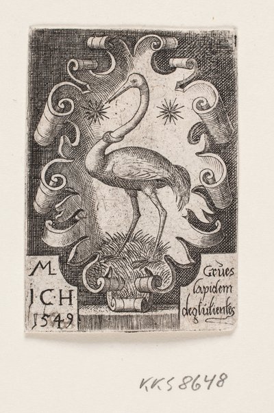 Der Kranich von Melchior Lorck
