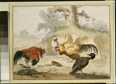 Kämpfende Hähne von Melchior de Hondecoeter