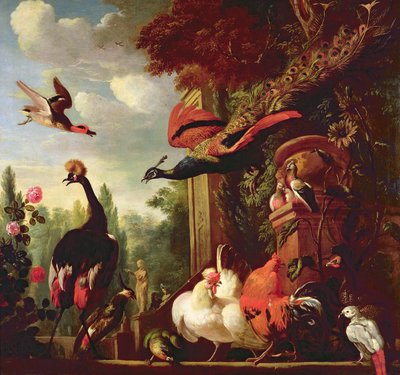 Unbekanntes Bild von Melchior de Hondecoeter