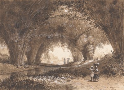 Bambusbögen, St. Anns von Michel Jean Cazabon