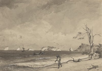 Los Gallos, Icacos Bay von Michel Jean Cazabon