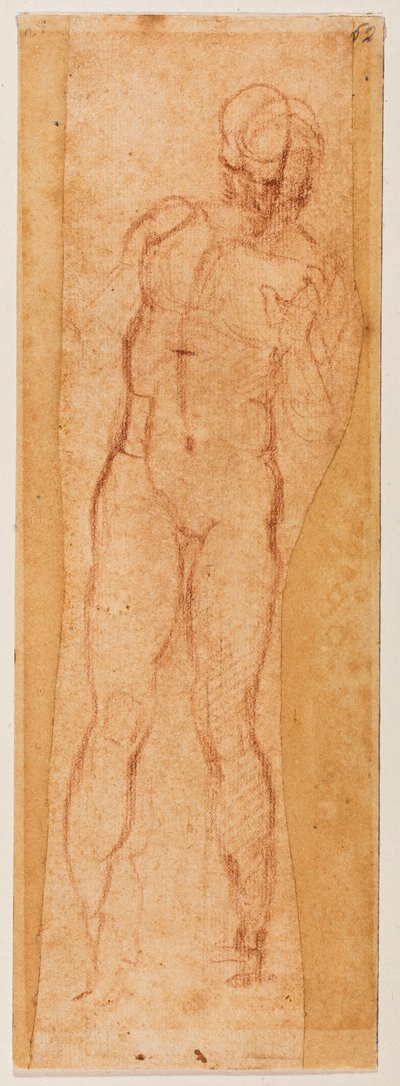 Studie für eine männliche Figur von Michelangelo Buonarroti