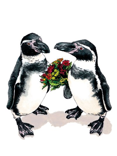 Jubiläumspinguine auf Weiß, 2020 von Mike Davis