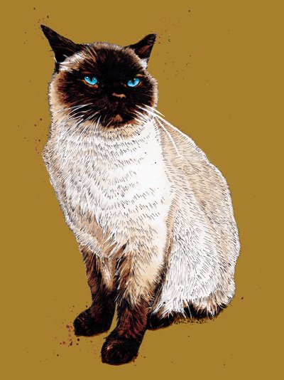 Die Siamkatze auf Goldgelb, 2020 von Mike Davis