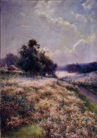 Blühende Wiese, 1906 von Mikhail Andreyevich Berkos