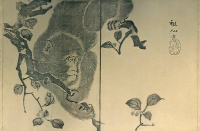 Affe, 1815, 1924 von Mori Sosen