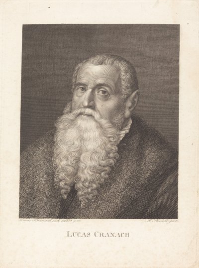 Lucas Cranach von Moritz Steinla