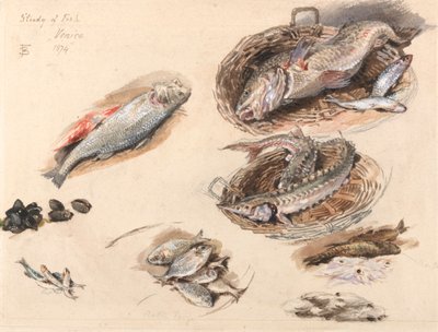 Studie von Fischen, Venedig von Myles Birket Foster