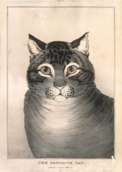 Die Lieblingskatze, 1838-46 von Nathaniel Currier