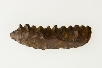 Bifaziales Sicheln, ca. 4500–4000 v. Chr. von Neolithic Neolithic