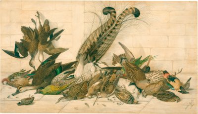 ohne Titel (Australische Wildvögel) von Neville Henry Cayley