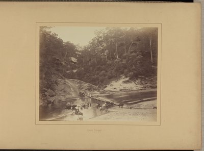 Oberer Nepean von New South Wales Government Printing Office