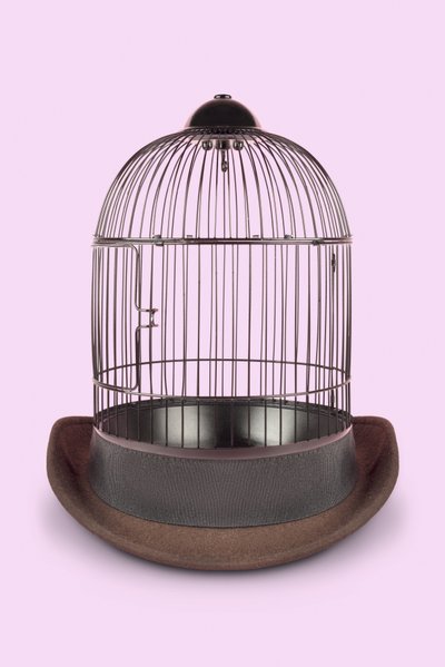 Mentalkäfig, 2020 von Niccolò Fioriti