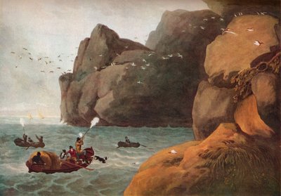 Papageientaucherjagd, ca. 1806 von Nichols and Merke