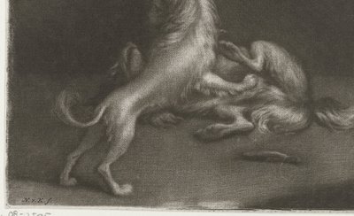 Zwei spielende Hunde von Nicolaas Verkolje