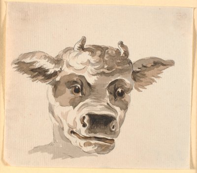 Kopf des Minotaurus von Nicolai Abildgaard