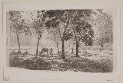 Allee von Niels Skovgaard
