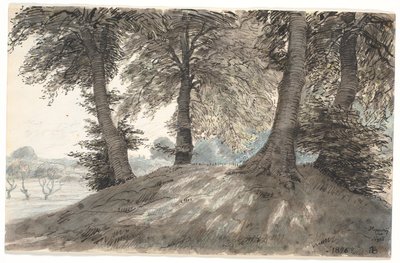 „Hoppehøj bei Nysø“ von Niels Skovgaard