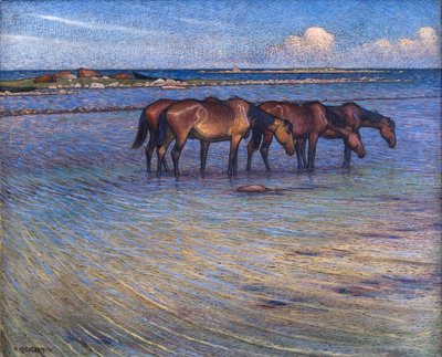 Pferde kühlen sich im Wasser von Nils Kreuger
