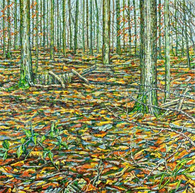Orches Groundscape von Noel Paine