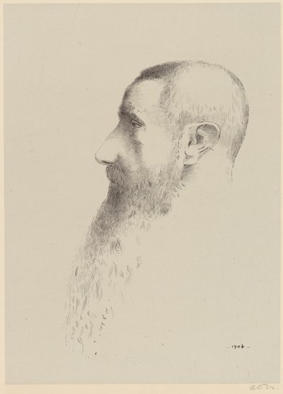 Roger Marx von Odilon Redon
