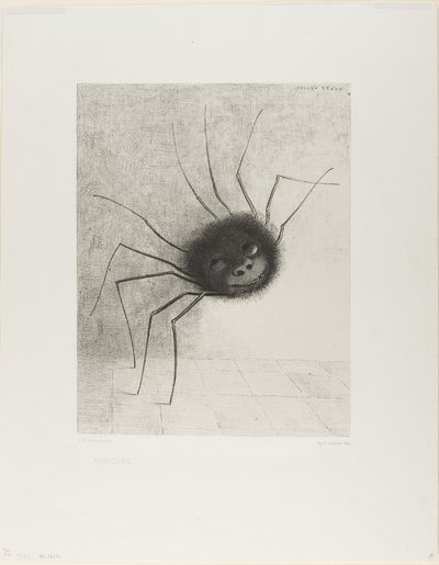 Spinne von Odilon Redon