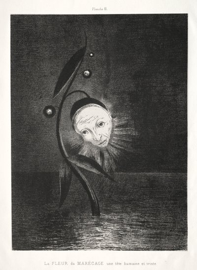 Die Sumpfblume, ein trauriger menschlicher Kopf von Odilon Redon