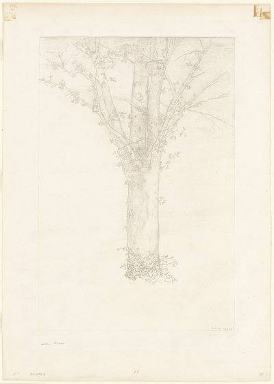 Baum von Odilon Redon