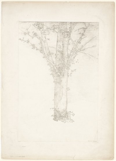 Baum von Odilon Redon