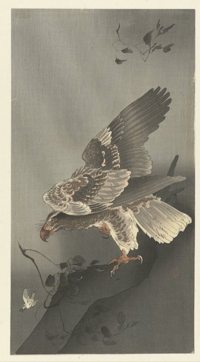 Adler lauert auf Beute von Ohara Koson