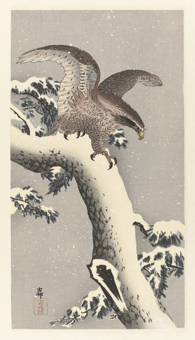 Adler auf verschneiter Kiefer von Ohara Koson