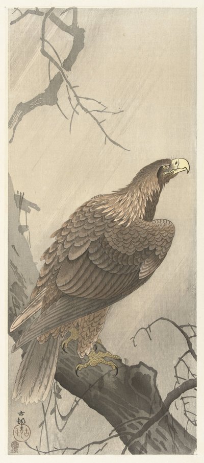 Adler auf einem Baumzweig von Ohara Koson