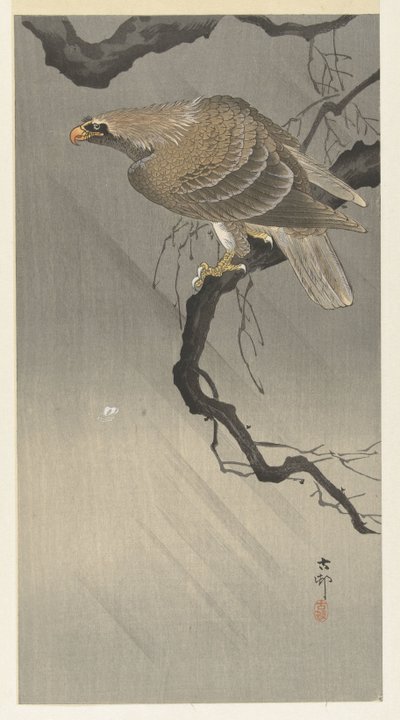 Adler auf einem Ast von Ohara Koson